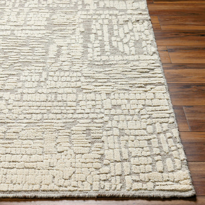 Tunus TUN-2310 Rug by Surya in taupe, ivory, charcoal. Made from main: 100% wool in a unique style.