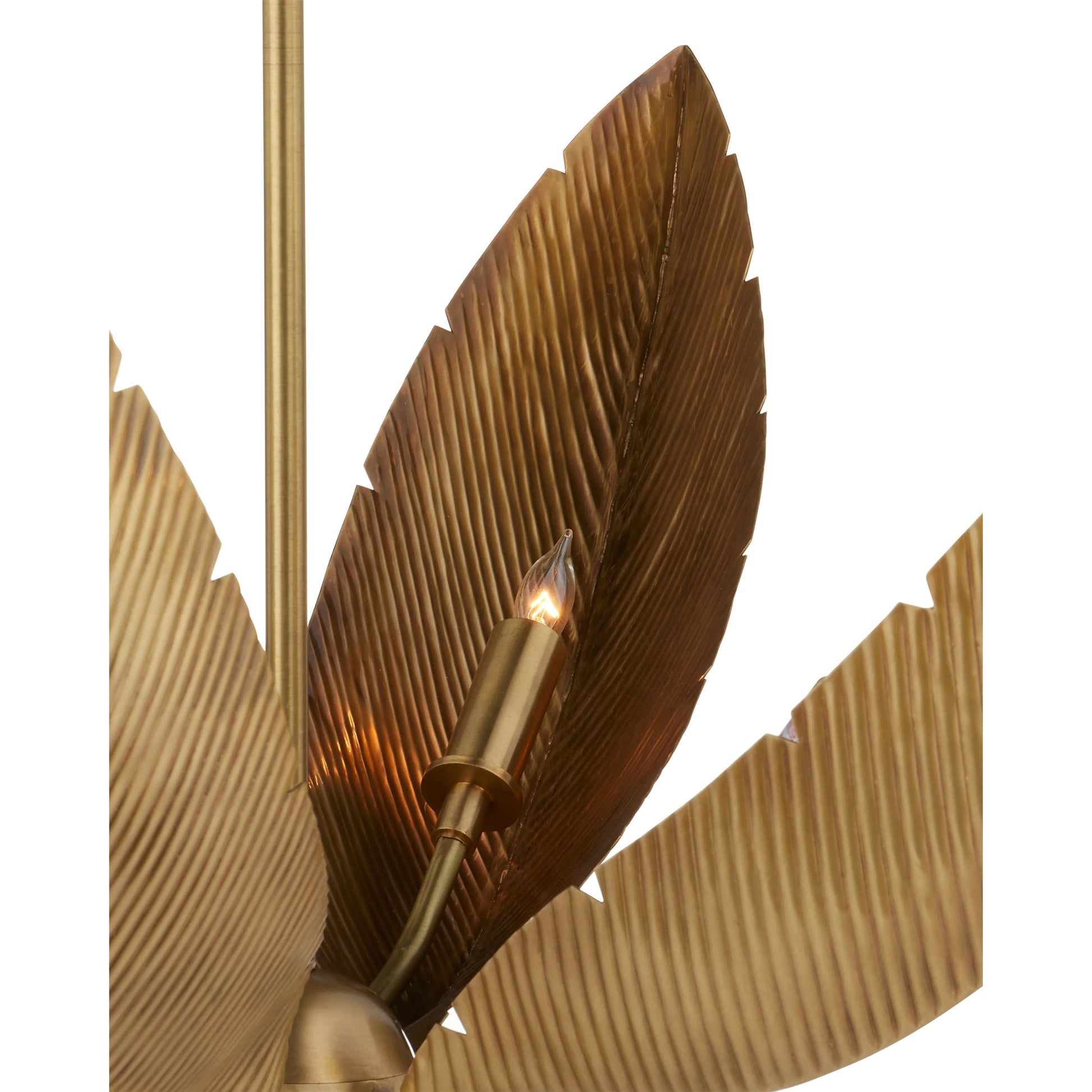 Bird of Paradise Chandelier by Currey and Company in antique brass. Made from brass, iron in a coastal style.
