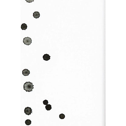 Stars/Stripes Diptych by Jess Engle by Four Hands in black 2.5 maple, vibrance matte paper, 3a white foam board. Made from american maple, matte paper in a transitional style.