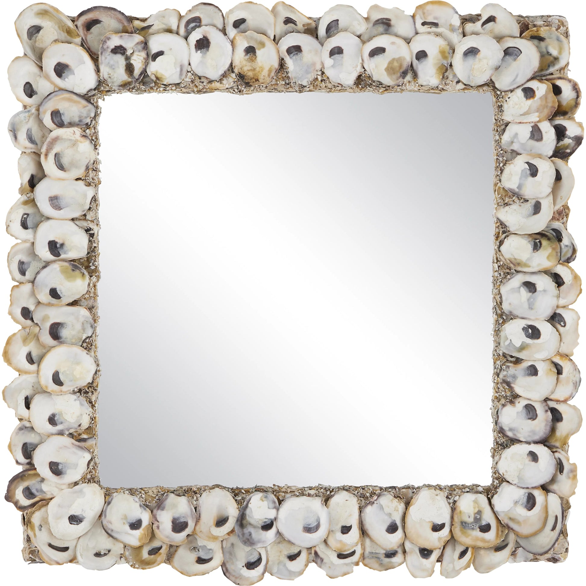 Oyster Shell Mirror by Currey and Company in natural shell. Made from wood, oyster shell, mirror in a coastal style.