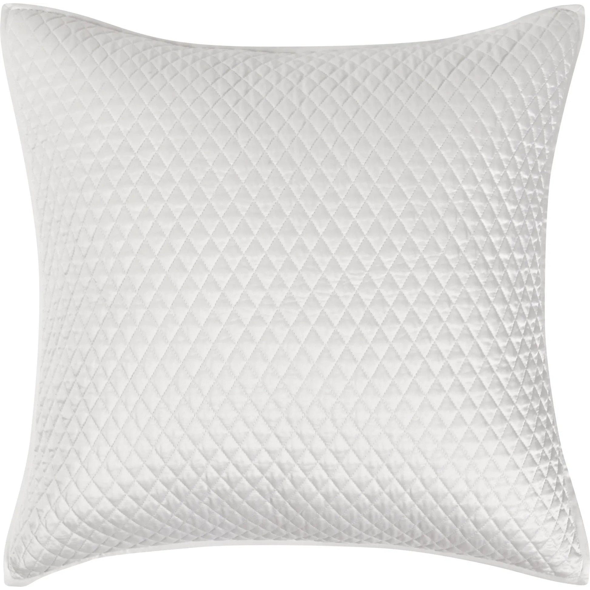 Winthrop 100% Sateen Euro Sham by Villa by Classic Home. Made from 100% matte poly sateen front in a transitional style.