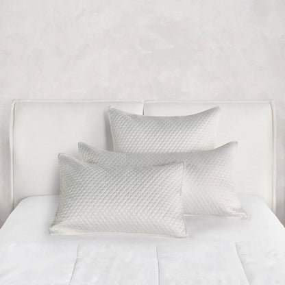 Winthrop 100% Sateen Euro Sham by Villa by Classic Home. Made from 100% matte poly sateen front in a transitional style.