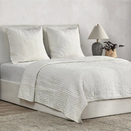 Dimitry 100% Rayon Velvet Euro Sham by Villa by Classic Home. Made from front: 100% rayon velvet; back: 100% solid cotton back in a modern style.