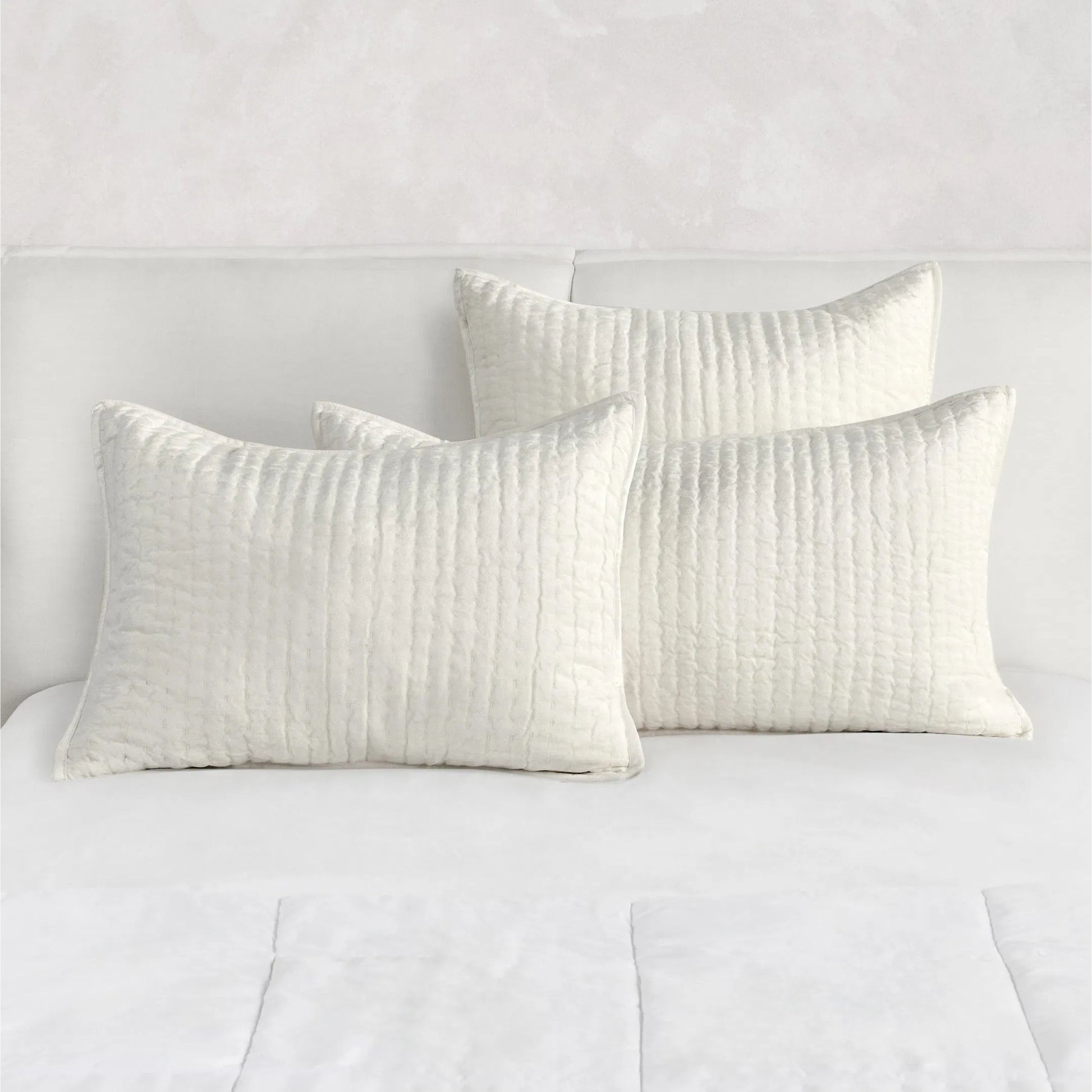 Dimitry 100% Rayon Velvet Euro Sham by Villa by Classic Home. Made from front: 100% rayon velvet; back: 100% solid cotton back in a modern style.