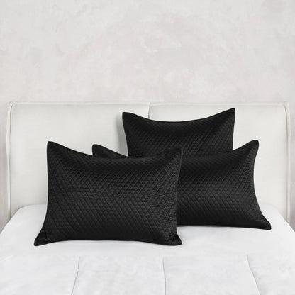 Winthrop 100% Sateen Euro Sham by Villa by Classic Home. Made from 100% matte poly sateen front in a transitional style.