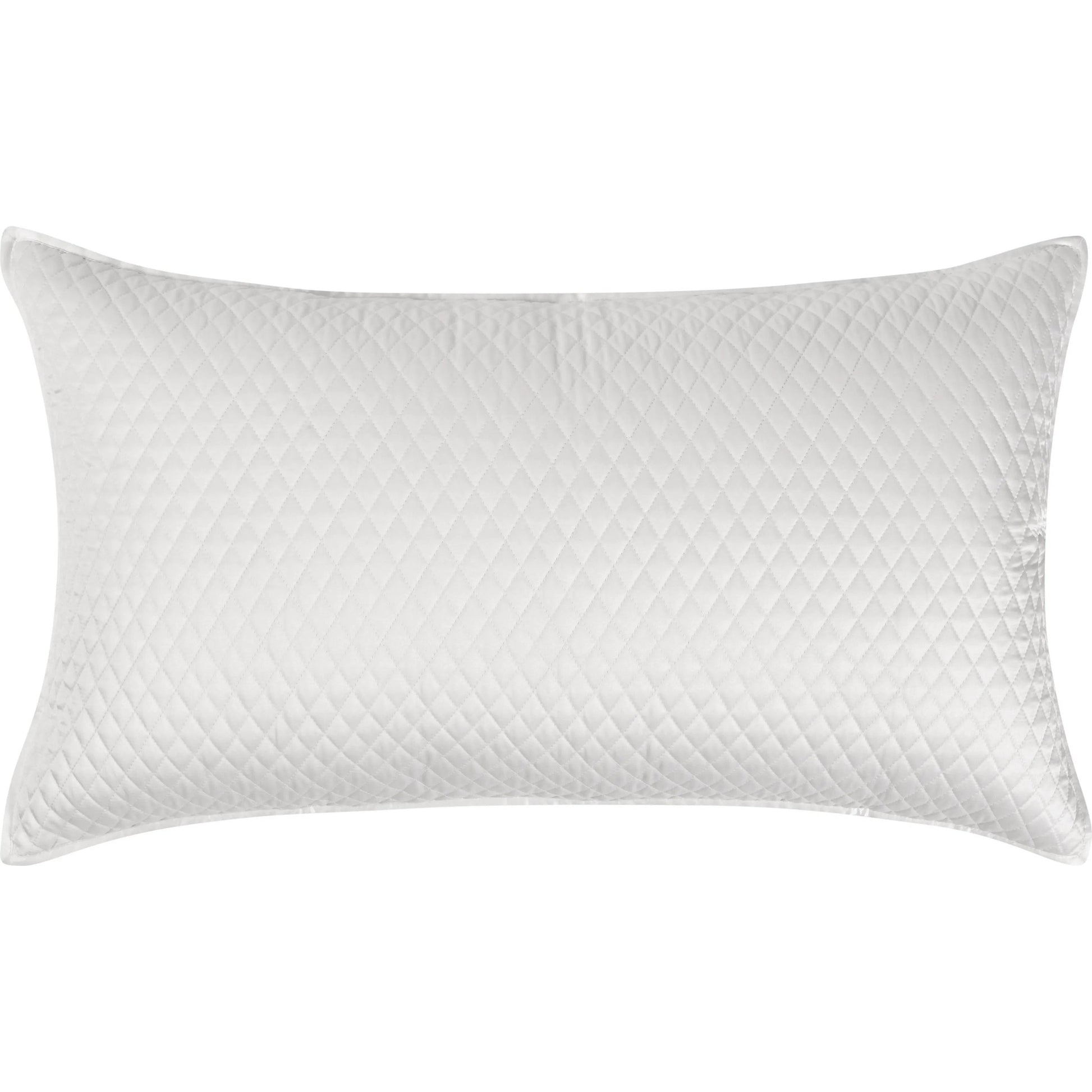 Winthrop 100% Sateen Euro Sham by Villa by Classic Home. Made from 100% matte poly sateen front in a transitional style.