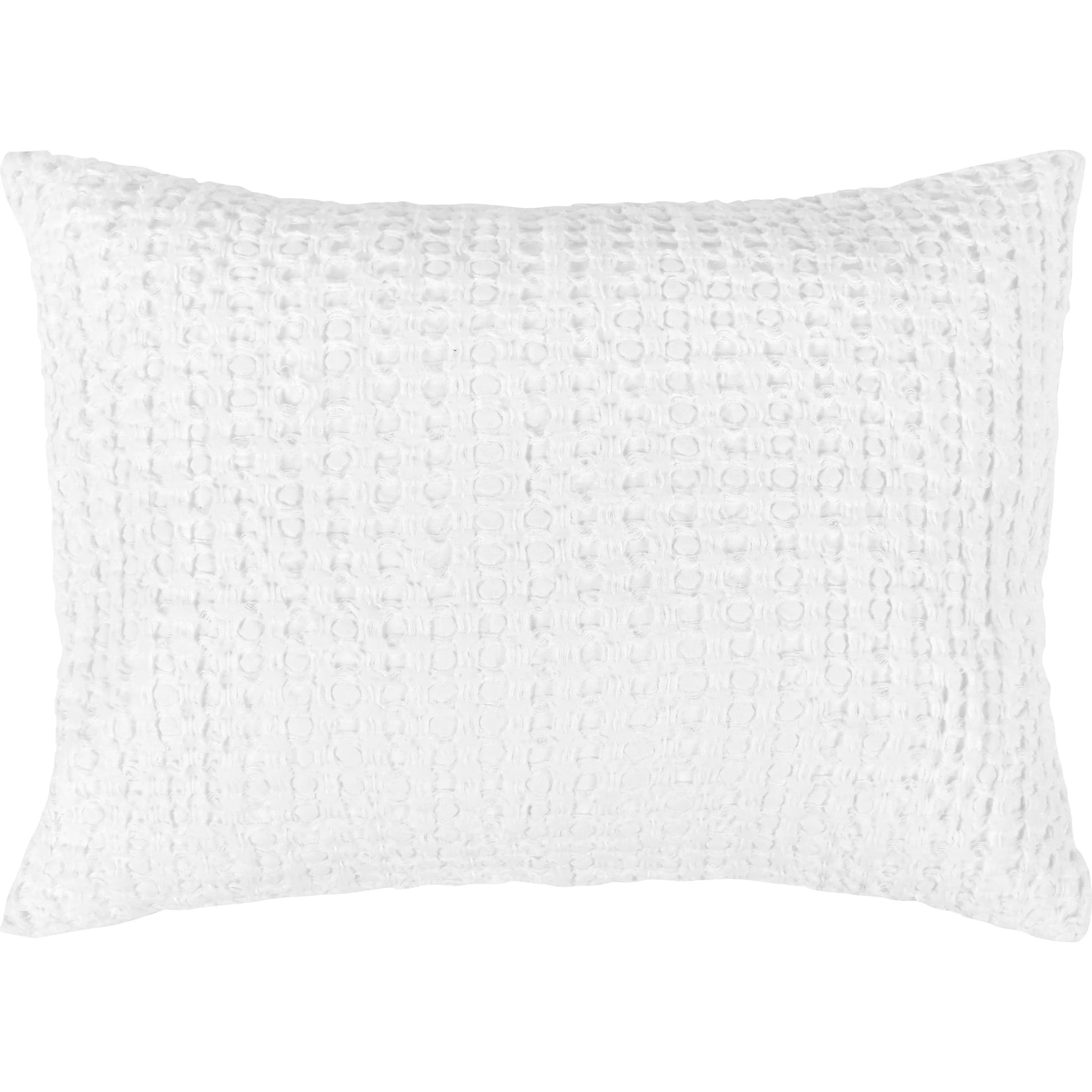 Dimitry 100% Rayon Velvet Euro Sham by Villa by Classic Home. Made from front: 100% rayon velvet; back: 100% solid cotton back in a modern style.