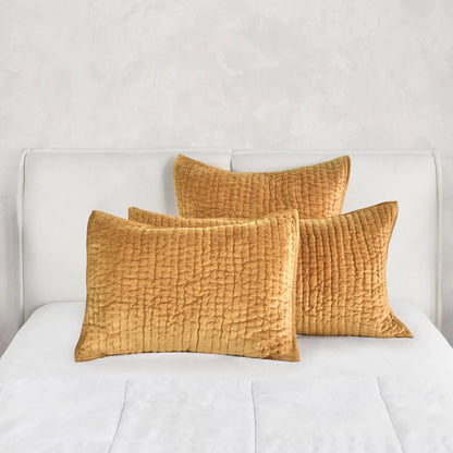 Bari Velvet Honey Gold Sham by Villa by Classic Home in gold. Made from front: 100% rayon velvet, back: 100% solid cotton back in a eclectic & global style.