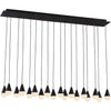 Nightshade Black
