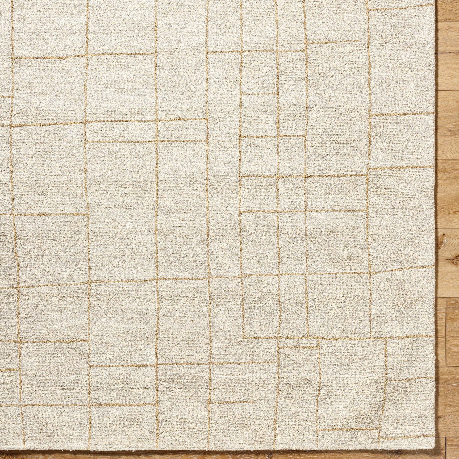 Ira 541254 Rug by Vivir x Livabliss in ivory, sandstone, taupe. Made from wool in a unique style.
