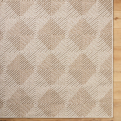 Kaya Rug - 541532 by Vivir x Livabliss in ash, khaki, prairie dust, desert sand, pearl, walnut. Made from polypropylene in a unique style.