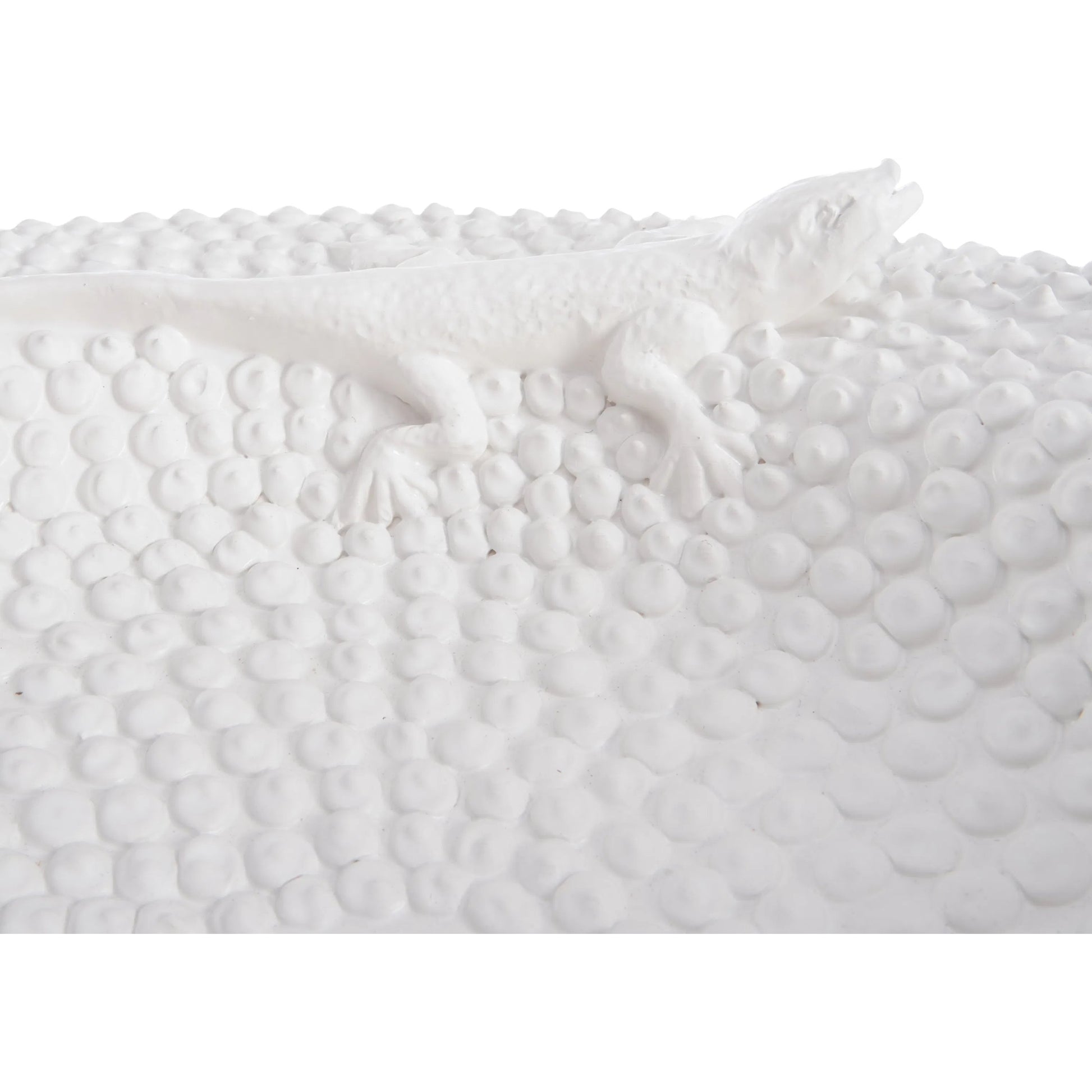 Anolis Bowl by Wildwood in white, cream and matte white glaze. Made from unique in a unique style.