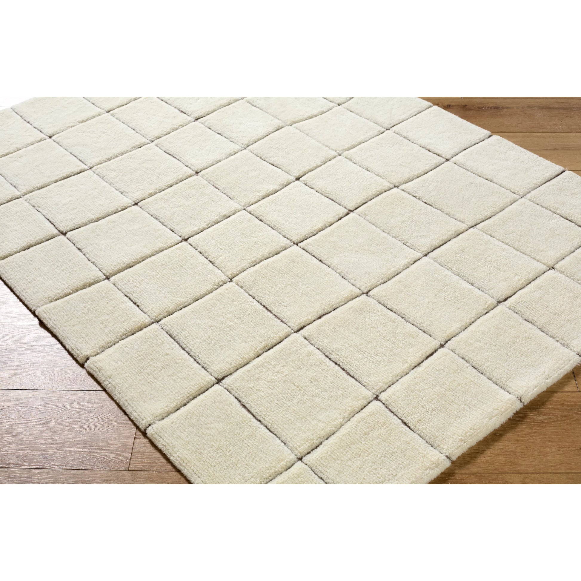 Wooly WOL-2301 Rug by Livabliss in ivory, charcoal. Made from wool, cotton, nylon in a unique style.