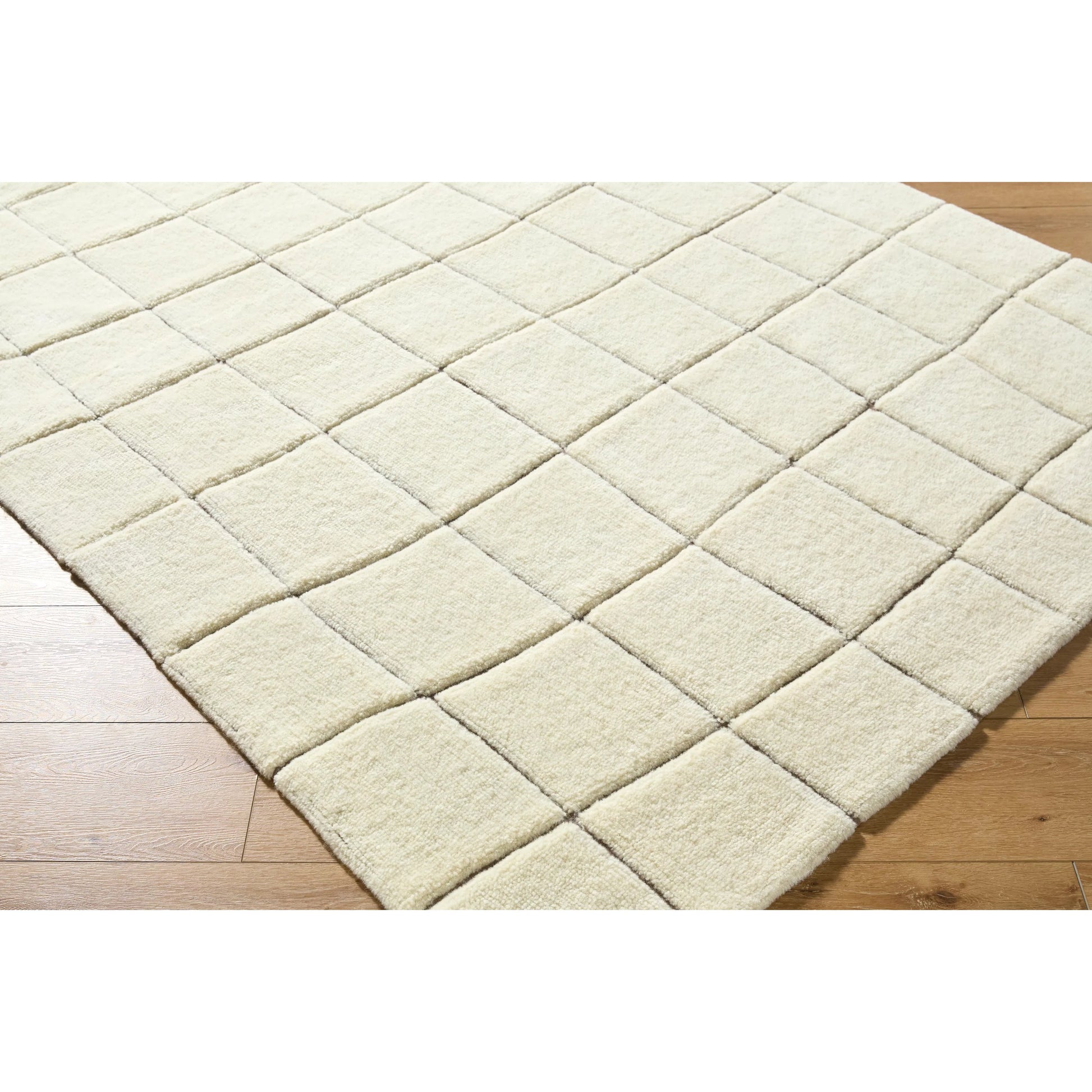 Wooly WOL-2301 Rug by Livabliss in ivory, charcoal. Made from wool, cotton, nylon in a unique style.