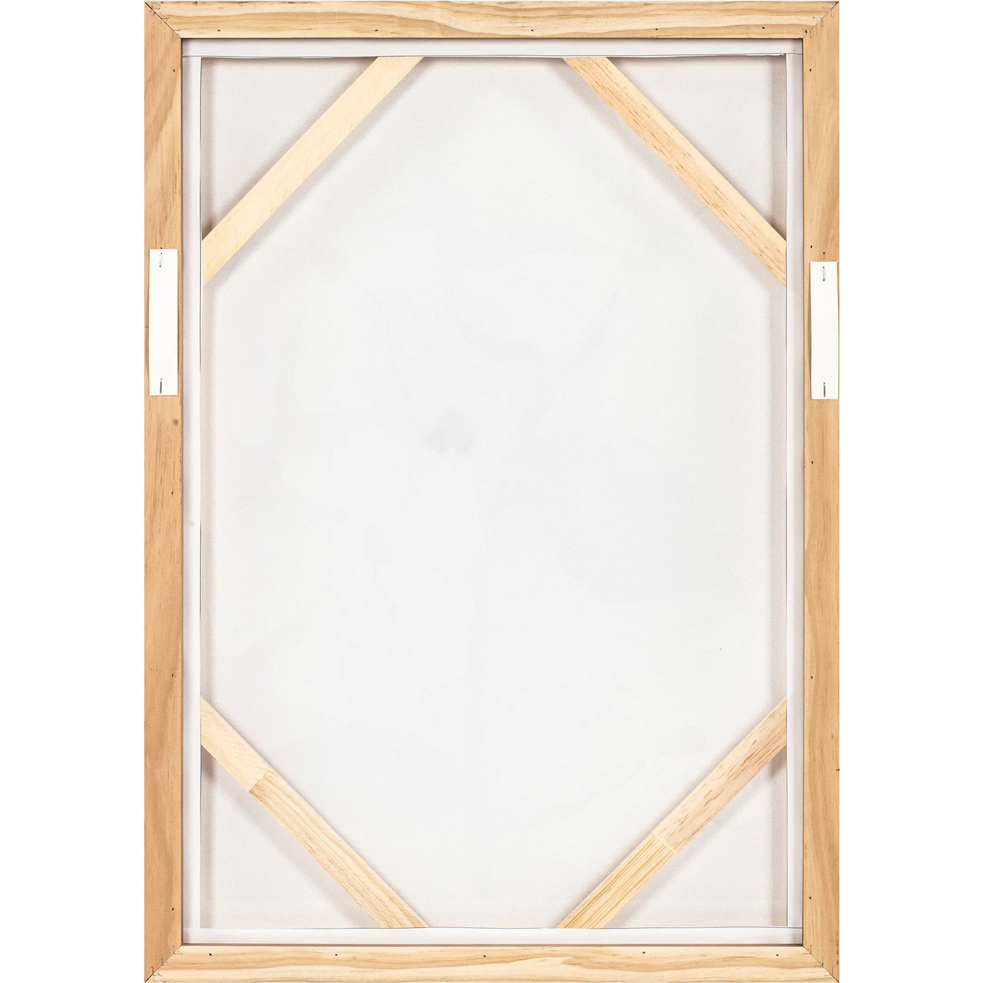 Blush Framed Painting by Moe's Home Collection in multicolor. Made from print on canvas, acrylic paint on canvas, solid pine frame in a eclectic & global style.