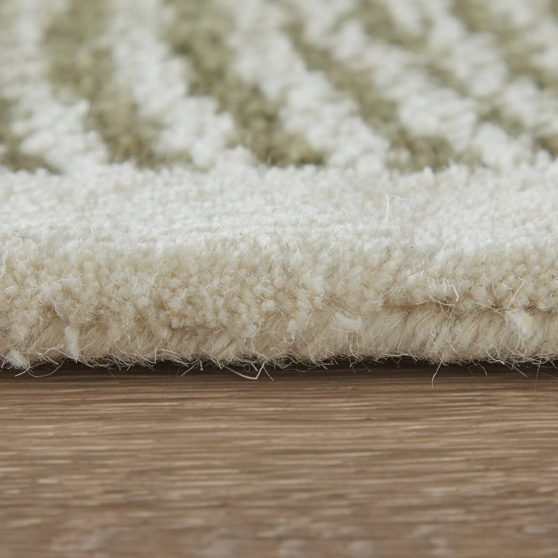 Winston & Botanical WNS8B02F Rug by Feizy. Made from wool in a unique style.