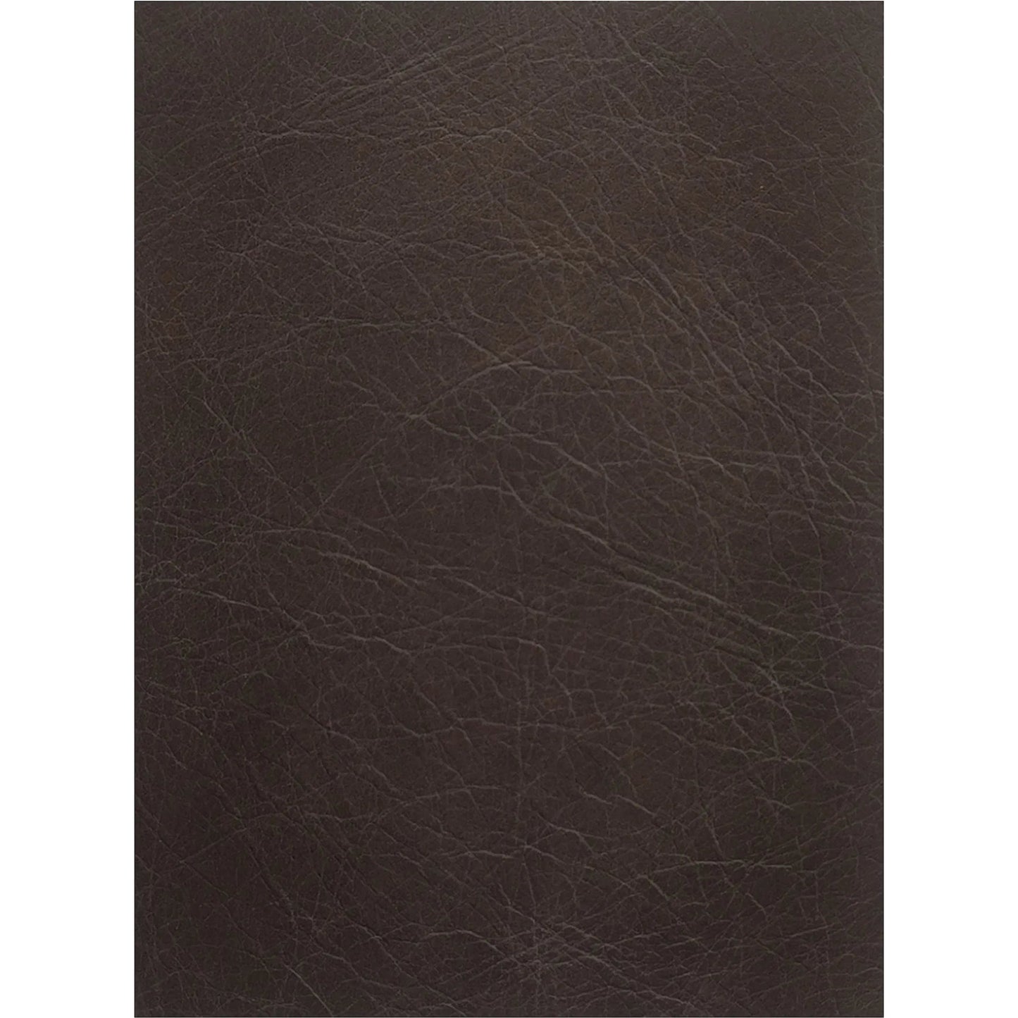 005 SI-2368051 | Closeup | Form Classic L Shaped Modular Sectional by Moe's Home Collection in espresso. Made from full top-grain leather, solid wood, plywood frame, high density foam, feather fill, zig zag spring support in a traditional style.