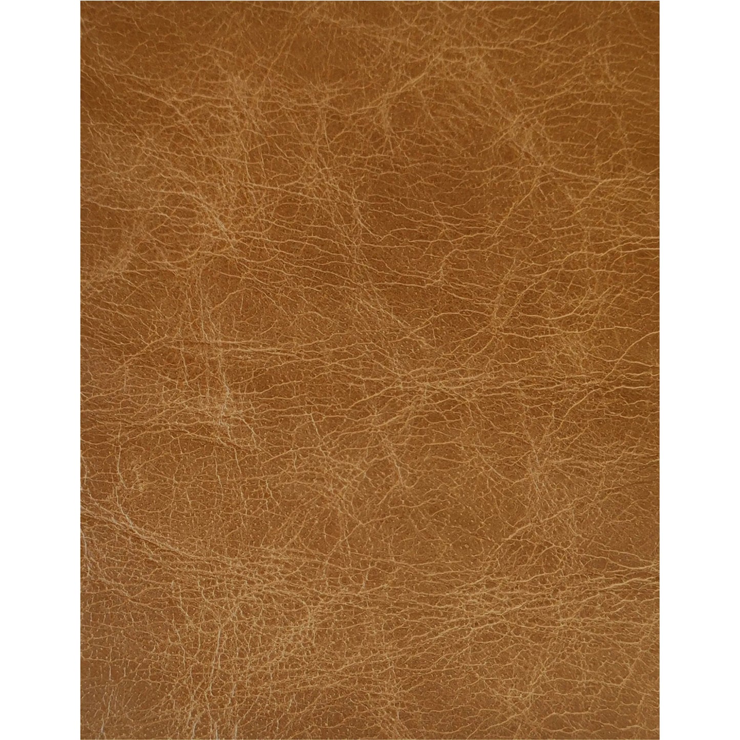 006 SI-2367921 | Closeup | Bridgers Power Recliner Sofa by Moe's Home Collection in tan leather. Made from upholstery: 100% top grain leather, high density foam, feather fill, solid red meranti wood frame, webbing seat, recliner: metal, okin motor in a tra
