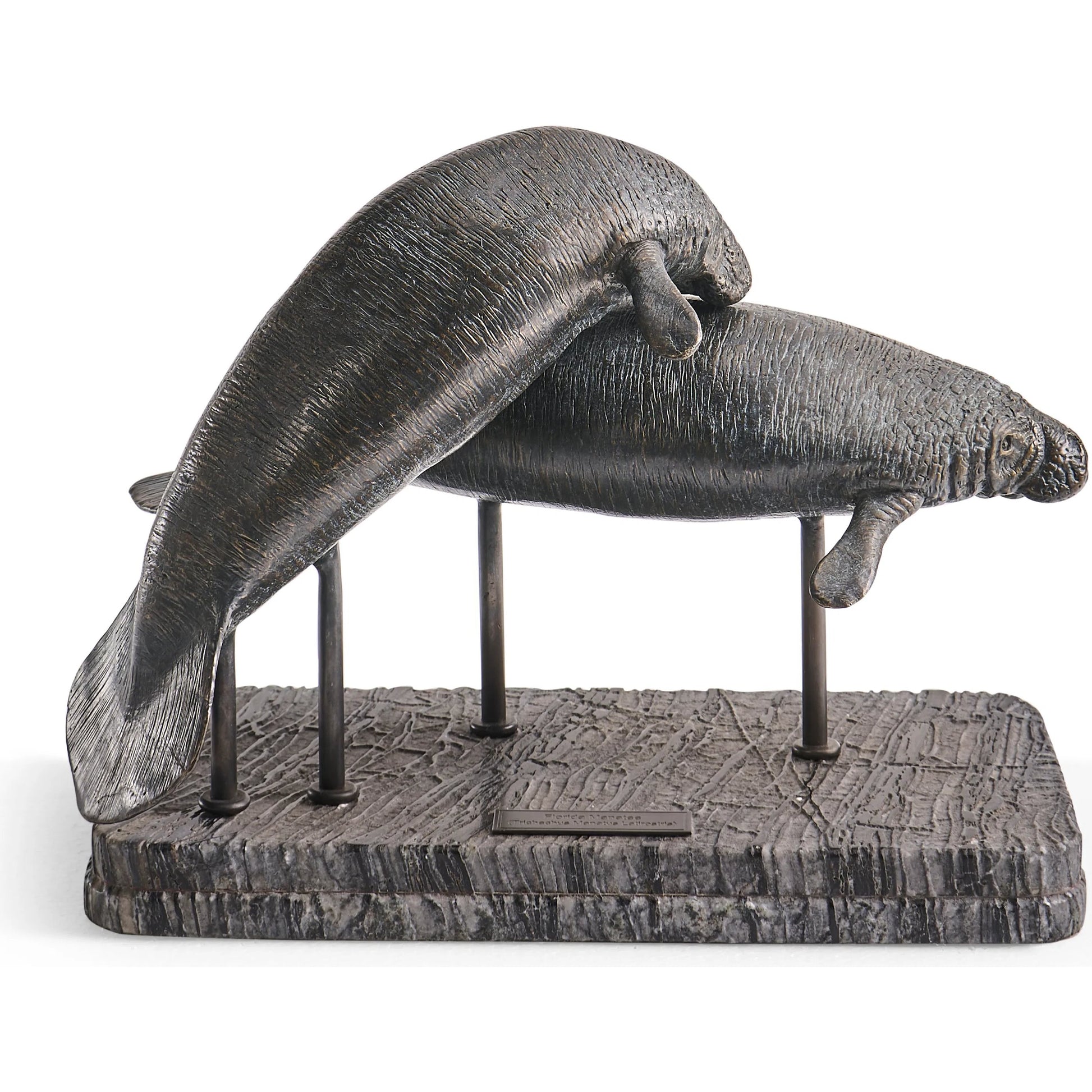 Raised Manatee Bronze Statue with Marble Base by Jonathan Charles in dark rustic waxed bronze. Made from main brass in a unique style.