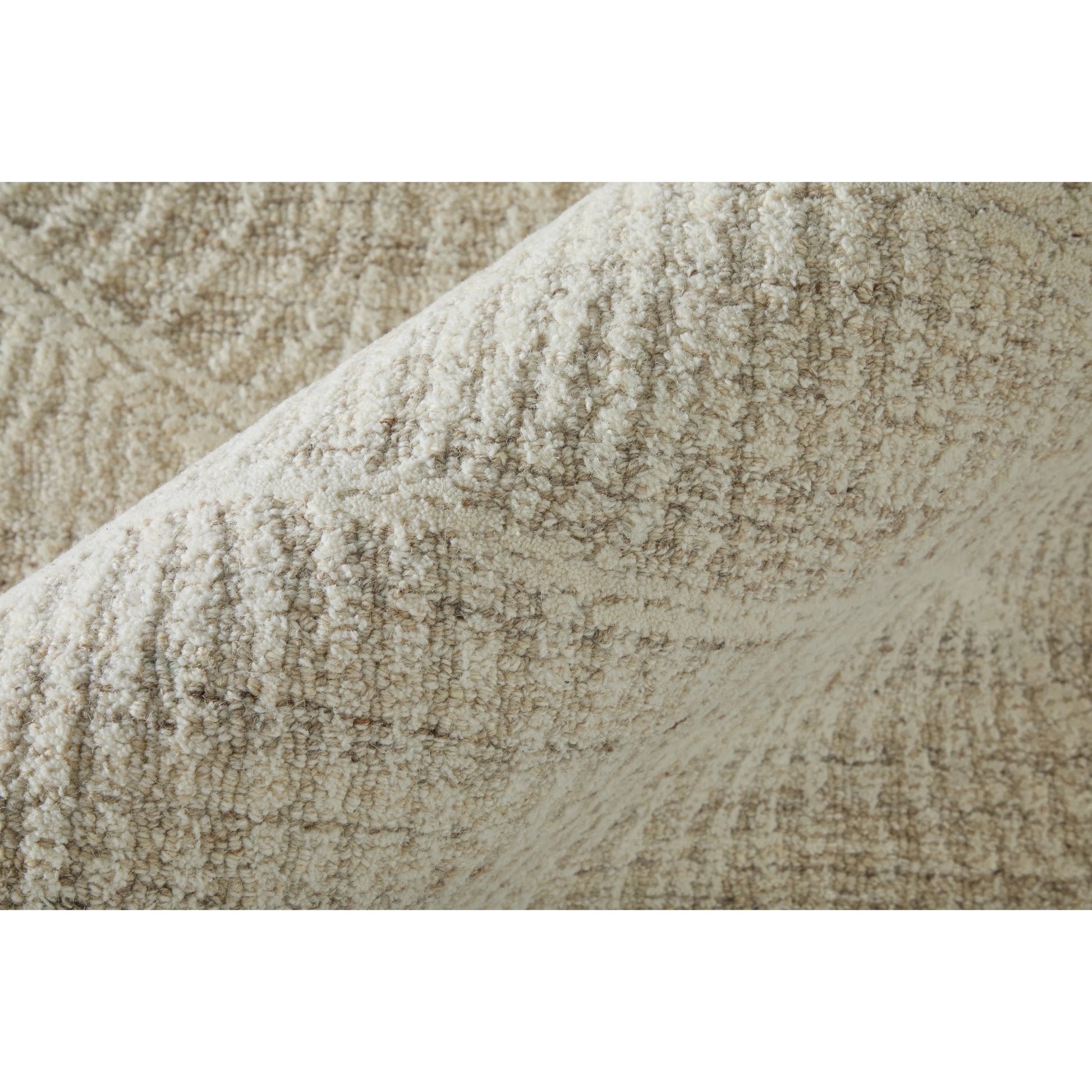 Winston & Botanical WNS8B02F Rug by Feizy. Made from wool in a unique style.