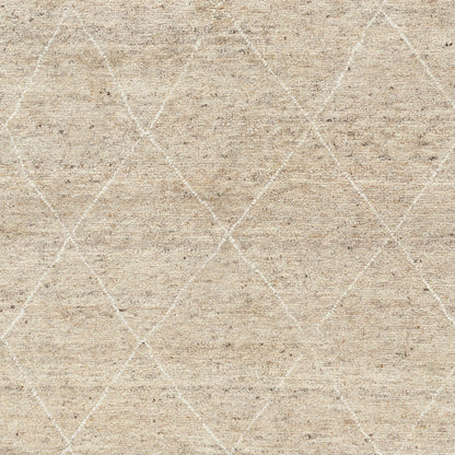 Zara Rug - 29845 by Surya in beige, tan, oatmeal, cream, brown. Made from unique in a unique style.
