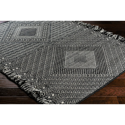 Zanafi ZNF-2303 Indoor/Outdoor Rug by Surya in black, ivory. Made from 100% wool in a unique style.