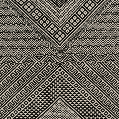 Zanafi ZNF-2303 Indoor/Outdoor Rug by Surya in black, ivory. Made from 100% wool in a unique style.